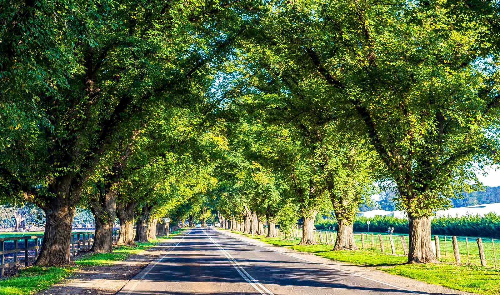 Real Estate Agents Bacchus Marsh